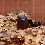  commentary creature diglett english_commentary gen_1_pokemon no_humans photo pokemon pokemon_(creature) sculpture sean_syman solo unconventional_media wood 