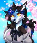  2020 aimi amber_eyes anthro big_breasts black_hair blue_body blue_fur blue_nose breasts canid canine clothed clothing digital_media_(artwork) female fox fur hair mammal smile solo 