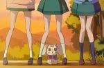  3girls brown_footwear green_skirt hanadera_nodoka haruyama_kazunori head_out_of_frame healin&#039;_good_precure hiramitsu_hinata latte_(precure) legs multiple_girls outdoors precure sawaizumi_chiyu shoes skirt socks standing sunset 