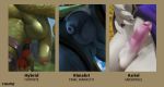  anthro asriel_dreemurr backsack balls blue_body blue_fur bodily_fluids bovid caprine chunie claws clothing digital_media_(artwork) epic_games final_fantasy final_fantasy_x flaccid fortnite fur genital_fluids genitals goat green_body green_scales humanoid_genitalia humanoid_penis hybrid_(fortnite) invalid_tag kimahri loincloth male mammal partially_retracted_foreskin penis precum retracted_foreskin scales scalie simple_background solo square_enix uncut undertale video_games white_body white_fur 