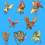  dodrio doduo farfetch&#039;d fearow nintendo pidgeot pidgeotto pidgey pokemon spearow 