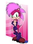  sonia_the_hedgehog sonic_team sonic_underground tagme wdj 