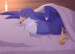  ambiguous_gender avian beak bedding bird blanket blue_body blue_feathers brown_eyes candle feathers feral fur hi_res hirundinid inside kajinchu looking_at_viewer open_mouth pillow shanon_(inuolsuila2) solo swallow_(bird) talons white_body white_fur wings 
