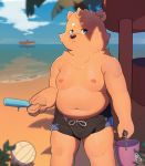  2020 absurd_res anthro beach belly blue_eyes bulge canid canine clothing detailed_background food hi_res humanoid_hands kemono male mammal moobs navel nipples outside piero03432812 popsicle seaside slightly_chubby solo swimwear water 