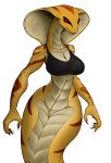  2016 2017 alpha_channel anonymous_artist anthro big_breasts black_clothing black_shirt black_topwear bottomless breasts claws cleavage clothed clothing colored digital_drawing_(artwork) digital_media_(artwork) female glistening glistening_body hi_res naga non-mammal_breasts red_eyes reiduran reptile scales scalie serpentine shirt simple_background slit_pupils snake snake_hood solo tank_top topwear transparent_background video_games viper_(x-com) x-com yellow_body yellow_scales 