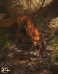  2020 4_toes absurd_res ambiguous_gender black_nose canid canine day detailed_background digital_media_(artwork) feral forest fox fur grass hi_res mammal orange_body orange_eyes orange_fur outside paws solo tatiilange text toes tree url whiskers 
