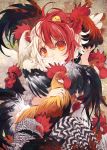  1girl animal animal_on_head bird bird_wings chick chicken close-up commentary_request covered_mouth feathered_wings head_tilt highres looking_at_viewer medium_hair multicolored_hair niwatari_kutaka on_head red_eyes red_hair rooster touhou toutenkou two-tone_hair upper_body white_hair white_wings wings 