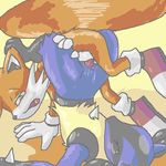  crossover lucario nintendo oekaki pokemon sonic_team tails 