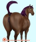  2020 anatomically_correct anatomically_correct_anus anatomically_correct_genitalia anatomically_correct_pussy animal_genitalia animal_pussy anus brown_body brown_fur digital_media_(artwork) dock equid equine equine_pussy eyebrows eyelashes female feral fur genitals green_eyes hi_res horse looking_at_viewer looking_back mammal mane nikuyoku patreon puffy_anus purple_mane purple_tail pussy quadruped raised_tail rear_view simple_background solo text url white_background 