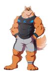  2019 3_toes absurd_res ankle_band anthro biceps biped body_hair bottomwear canid canine canis chest_hair clothed clothing domestic_dog fur hi_res male mammal multicolored_body multicolored_fur muscular muscular_legs muscular_male muscular_thighs orange_body orange_fur otake shirt shorts simple_background solo takemoto_arashi tan_body tan_fur tank_top toes topwear triceps two_tone_body two_tone_fur two_tone_tail white_background wristband 