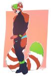  ailurid anthro balls black_body black_fur blush clothed clothing digital_media_(artwork) flynx-flink fur genitals green_body green_fur green_hair hair hi_res male mammal paws penis red_body red_fur red_panda shy smile solo standing striped_tail stripes vein 