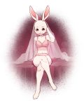 2020 anthro beastars blush bra clothing female fumiko haru_(beastars) hi_res lagomorph leporid lingerie looking_at_viewer mammal rabbit sitting smile solo underwear whiskers 