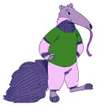  2020 aca_(character) ambiguous_gender anteater anthro barefoot clothed clothing fuel_(artist) fur fur_markings giant_anteater hands_on_hips head_tuft hi_res long_tongue mammal markings pilosan simple_background smile solo standing tongue tuft white_background xenarthran 