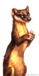  2020 4_toes ambiguous_gender black_nose brown_body brown_fur claws feral fur inner_ear_fluff kenket looking_aside mammal marten mustelid musteline on_hind_legs orange_eyes orange_sclera paws pine_marten simple_background smile smirk solo tan_body tan_fur text toe_claws toes traditional_media_(artwork) tuft url whiskers white_background 