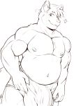  2020 5_fingers absurd_res anthro biceps bulge clothed clothing finger_claws fingers fur hair hi_res inner_ear_fluff looking_at_viewer male mammal navel nipples pecs ritorutaiga simple_background smile solo topless tuft white_background 