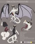  anthro balls digitigrade dragon english_text erection genitals hi_res honovy horn intersex knot maleherm mulit_penis multi_balls multi_genitalia nude pawpads pussy solo standing text thick_tail tongue tongue_out wings 