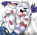  2_toes 3_toes anthro black_nose blue_body blush demidevimon digimon digimon_(species) duo ear_markings ear_tuft eyes_closed facial_markings fangs feet female feral foot_focus gatomon head_markings laugh male markings open_mouth pawpads paws pink_pawpads purple_markings simple_background solo_focus tail_markings tail_tuft tickle_torture tickling toes tuft white_background white_body xptzstudios yellow_eyes 