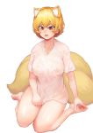  1girl absurdres alternate_costume animal_ear_fluff animal_ears areolae bangs barefoot blonde_hair blush breasts chanta_(ayatakaoisii) covered_nipples eyebrows_visible_through_hair fox_ears fox_tail full_body hair_between_eyes highres large_breasts looking_down multiple_tails nose open_mouth puffy_nipples reflective_eyes see-through shiny shiny_hair shiny_skin shirt shirt_tug short_hair short_sleeves sidelocks silver_hair simple_background sitting slit_pupils soles solo sweat sweatdrop tail thighs toes touhou wariza wet wet_clothes wet_shirt wet_t-shirt white_background yakumo_ran yellow_eyes 
