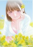  anegasaki_nene artist_request blue_eyes blue_sky blurry bra brown_hair close-up closed_mouth collarbone day depth_of_field dress face fir_tree flower hair_flower hair_ornament hand_on_own_cheek long_sleeves looking_at_viewer love_plus lying mole mole_under_eye on_stomach outdoors pink_bra plant short_hair sky smile solo tree underwear white_dress 