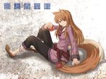  animal_ears anklet apple brown_hair food fruit highres holo jewelry k2pudding long_hair red_eyes sitting solo spice_and_wolf tail wolf_ears wolf_tail 