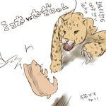  aitamochi_(suita) cat cats cheetah to_aru_kagaku_no_railgun to_aru_majutsu_no_index translation_request 