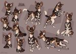  4_toes african_wild_dog black_nose canid canine collar ear_piercing ear_ring feral hi_res kitchiki male mammal paws piercing sitting smile solo standing teeth toes 