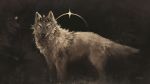  16:9 2020 ambiguous_gender black_nose canid canine canis digital_media_(artwork) feral fur grey_body grey_fur mammal snowfoxatheart solo standing widescreen wolf 