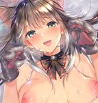  animal_ears breasts nekomimi nipples suiheisen 