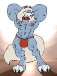  3:4 anthro big_muscles blue_body blue_fur bow_tie bulge canid canine canis clothing fur grisser hair hi_res huge_muscles long_hair male mammal muscular muscular_male smile solo speedo swimwear white_hair wilford_wolf wolf 