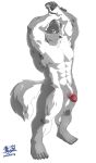  2020 5_fingers abs absurd_res anthro biceps big_muscles big_penis black_nose black_pawpads canid canine canis fingers fur genitals glans grey_body grey_eyes grey_fur half-erect hands_above_head hi_res humanoid_hands looking_at_viewer male mammal multicolored_body multicolored_fur muscular muscular_male nude pawpads pecs penis plantigrade quads red_glans solo standing subaru_aotk thick_penis triceps two_tone_body two_tone_fur vein veiny_penis white_body white_fur white_penis wolf 
