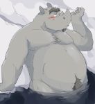  2012 anthro bathing belly blush grey_body humanoid_hands kemono male mammal overweight overweight_male pubes rhinocerotoid solo train_(artist) water 