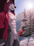 2020 3:4 anthro canid canine canis circumcised clothing cut_(disambiguation) erection fur genitals hi_res invalid_background invalid_tag jacket male male/male mammal mountain otterboxed outside painting penis skiing smile solo stripes topwear tree white_body white_fur wolf 