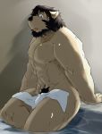  2013 anthro barazoku bathing black_nose bulge canid canine canis domestic_dog humanoid_hands kemono male mammal muscular sitting solo towel train_(artist) water wet 