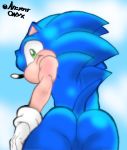  ancient-onyx bloom butt looking_at_viewer looking_back low-angle_view male mostly_nude sky solo sonic_the_hedgehog sonic_the_hedgehog_(series) video_games 