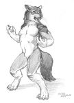  absurd_res anthro canid canine greyscale hi_res male mammal monochrome rakan scale_(artist) scar sketch were werecanid werecanine werewolf 