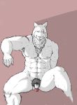 2012 anthro balls barazoku canid canine canis flaccid genitals hi_res humanoid_genitalia humanoid_hands humanoid_penis kemono male mammal muscular penis pubes scar simple_background sitting solo suishou0602 wolf 
