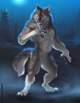  anthro breath canid canine canis claws digitigrade dog_tags explicital fangs featureless_crotch fluffy fluffy_tail forest fur glowing glowing_eyes jewelry looking_at_viewer male mammal multicolored_body multicolored_fur muscular muscular_male necklace night nude paws pose solo solo_focus tree were werecanid werecanine werewolf wolf 