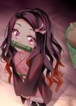  1girl absurdres asa_no_ha_(pattern) bamboo bit_gag black_hair brown_hair commentary feet_out_of_frame gag hair_ribbon highres japanese_clothes kamado_nezuko kimetsu_no_yaiba kimono long_hair long_sleeves looking_at_viewer looking_up obi pink_eyes pink_kimono pink_ribbon ribbon sash signature solo standing yaya_chan 