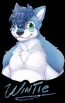  2020 anthro bastion black_background black_nose black_pupils blue_body blue_ears blue_fur blue_hair canid canine canis character_name chest_tuft collarbone domestic_dog fur fur_tuft green_eyes hair hi_res husky looking_at_viewer male mammal multicolored_body multicolored_fur nordic_sled_dog simple_background smile solo spitz tuft two_tone_body two_tone_fur white_body white_fur white_inner_ear wintie_snowflake 