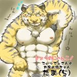  ! 1:1 2014 anthro barazoku blush eyes_closed felid hi_res humanoid_hands japanese_text kemono male mammal muscular nipples pantherine pecs pubes solo suishou0602 text tiger 