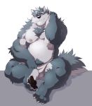  4_toes 5_fingers anthro balls biceps black_nose black_pawpads blue_body blue_fur blue_tail canid canine canis chest_tuft claws clothed clothing feet fingers fur genitals grey_body grey_fur hair hair_over_eye hank_(takemoto_arashi) hi_res looking_at_viewer male mammal multicolored_body multicolored_fur musclegut nipples one_eye_obstructed partially_clothed pawpads raised_arm sitting smile solo takemoto_arashi toes towel towel_around_neck towel_on_shoulder tuft two_tone_body two_tone_fur two_tone_tail wolf 