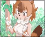  1girl animal_ears bare_shoulders blush brown_hair brown_shirt bug commentary cross-eyed dhole_(kemono_friends) dog_ears dog_girl dog_tail extra_ears eyebrows_visible_through_hair fanta_(the_banana_pistols) gloves grass hair_between_eyes highres insect kemono_friends ladybug leaf light_brown_hair multicolored_hair plant shirt sleeveless solo symbol_commentary tail two-tone_shirt vines white_gloves white_hair 
