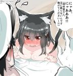  1boy 1girl admiral_(kantai_collection) animal_ears bangs black_hair blush breast_press breasts brown_eyes cat_ears cat_tail cleavage commentary_request eyebrows_visible_through_hair flying_sweatdrops gloves haguro_(kantai_collection) hair_between_eyes hair_ornament hat kantai_collection kemonomimi_mode medium_breasts nose_blush not_on_shana nude open_mouth speech_bubble sweat tail translation_request twitter_username white_gloves 