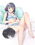  1girl :d animal artist_name bangs barefoot bed_sheet black_hair blue_bra blue_panties blunt_bangs bow bow_bra bow_panties bra breasts cat cellphone collarbone eyebrows_visible_through_hair feet hair_bobbles hair_ornament hair_over_shoulder hands_up highres holding holding_phone knees_up long_hair looking_at_viewer open_mouth original panties phone pillow purple_eyes signature skyrail small_breasts smartphone smile solo twintails underwear underwear_only 