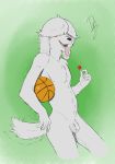  5_fingers absurd_res anthro ball balls basketball_(ball) black_nose canid canine canis domestic_dog fingers flaccid foreskin fur genitals grey_balls grey_body grey_ears grey_fur grey_penis grey_tail hair_over_eyes hi_res holding_object male mammal monotone_body monotone_fur motion_lines nude penis raccoon_douglas_(artist) signature solo tailwag teeth tongue tongue_out 
