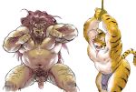  2010 anthro balls belly bound duo felid fur genitals kemono kira_nerisu lion male mammal moobs navel nipples overweight overweight_male pantherine penis pubes rope simple_background tiger white_background yellow_body yellow_fur 