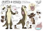  anthro ashley_(themuffinly) domestic_ferret duo english_text female fluffy male mammal model_sheet mouse muffin_(themuffinly) murid murine mustela mustelid musteline nude pawpads rodent size_difference text themuffinly thick_tail 