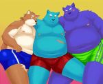  2011 anthro belly blue_body blue_fur blush brown_body brown_fur bulge canid canine clothing fur group humanoid_hands iwano kemono male mammal moobs navel nipples obese overweight overweight_male scar underwear 