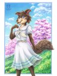  anthro beastars blue_eyes blush breasts canid canine canis cherry_blossom clothing dress female fur grey_body grey_fur juno_(beastars) kacey looking_at_viewer mammal outside plant solo wolf 