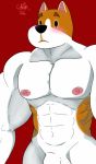  2020 abs animal_crossing anthro balls blush cake_top canid canine canis copper_(animal_crossing) domestic_dog genitals hi_res male mammal muscular muscular_male nintendo nipples nude penis simple_background solo video_games 